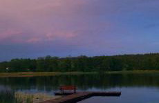 Zielona Dolina - Foto 43