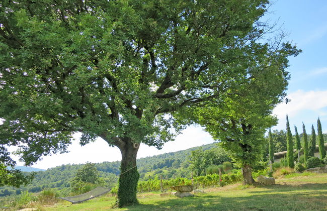 Podere Casidote - Foto 36