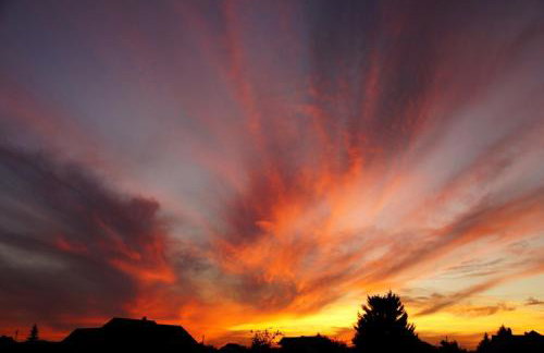 Schauenburgblick - Photo 16