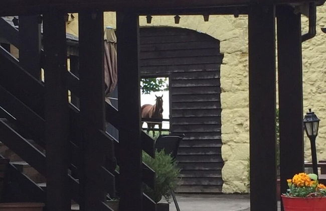 Carrygerry Country House - Foto 37