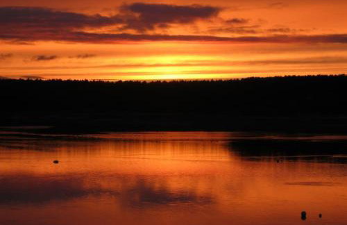 Driftwood Cottage, Findhorn Village - Foto 12