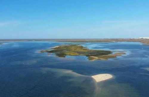 Charming Studio with Terrace in São Brás de Alportel, 32 m² - Foto 18