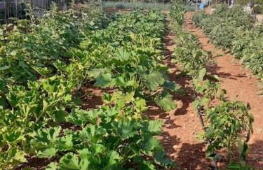 Antigoni Apartments 'Lavender Room' - Foto 20