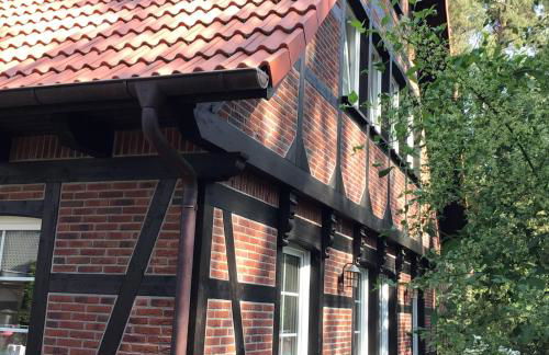 Welsh Dragon - Foto 41