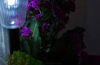 Downtown Cozy penthouse For balcony lovers - Foto 22