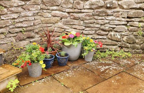 Pet-Friendly Logburner Horse Stable Views - Foto 28