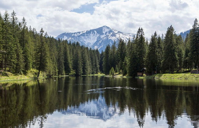 Chalet in Hohentauern Near Ski Slopes - Foto 55