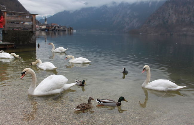 Mühlradl Apartments - Foto 59