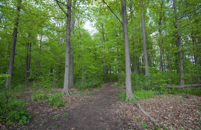 Beautiful Detached 6 Bedroom House - Foto 56