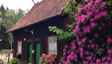 Reiterhof Winandy - Foto 2