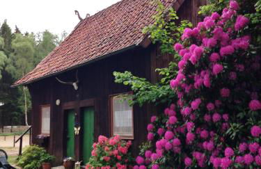 Reiterhof Winandy - Foto 2