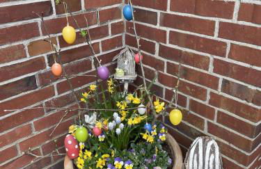 Ferienwohnung Harms - Foto 24