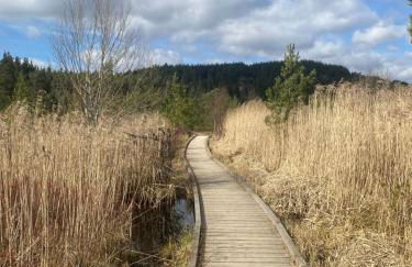 Old School - Foto 13