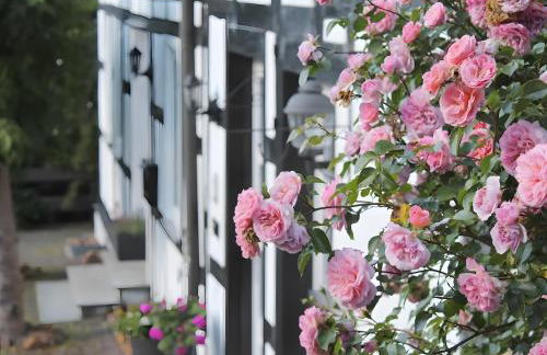 Ferienwohnung Küsterland - Photo 1