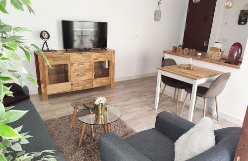 Apartamento 'Mini Jungle' en el corazón de Cádiz - Foto 8