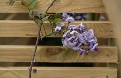 East Bank - Photo 54