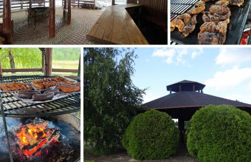 Gospodarstwo Agroturystyczne Zasadkowe Bory - Foto 41