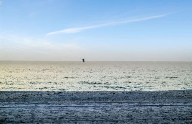 Stones Throw Beachfront Family Suite 3 Views - Foto 36