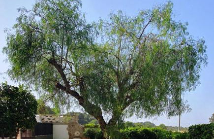 Paolo&Claudia - La Casa Di Mare by Salento Mare Cielo Travel Slow Live More - Foto 1