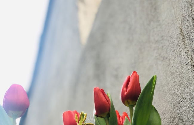 Agelandkaai.be - Photo 60