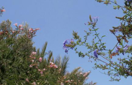 Casa Rural El Lirón - Foto 41