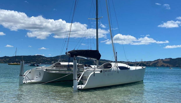Coromandel Boat Charter with Skipper - Photo 4
