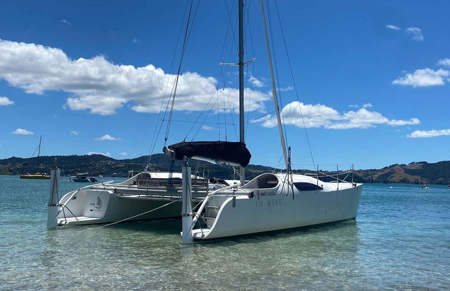 Coromandel Boat Charter with Skipper - Photo 4