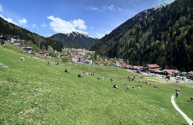 Villa Babil - Photo 1