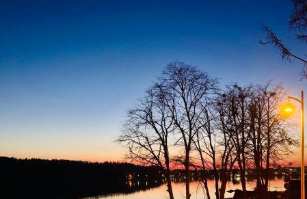 Forest & Lake Mikołajki - Foto 42