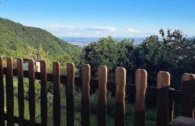 La Casetta sotto il Monte Novegno - Foto 10