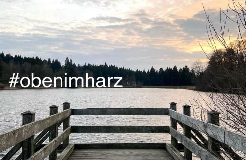 Harzpur Lodge - Pure Entspannung in purer Natur - Foto 72