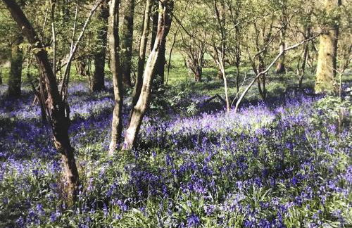 Four Seasons Cottage - in the Cotswolds - Foto 32