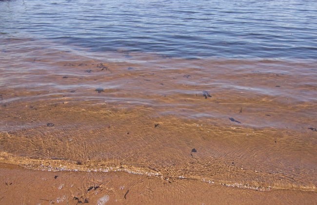 Sandys Beach House - Photo 43