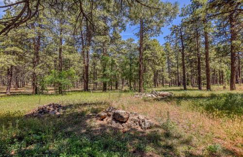 Gorgeous Historic 3 BR Log Cabin w Forest Views 20 Minutes from Flagstaff Now with Wi-Fi - Foto 30