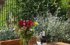 Vila Istra-Pavincica - Foto 21