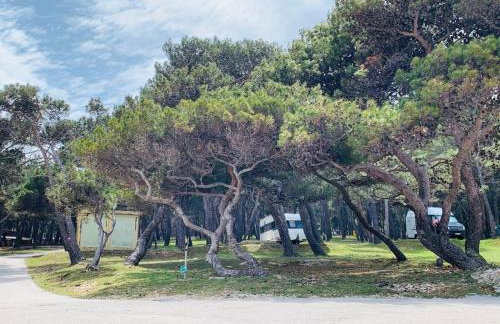 Apartment Alexandra - Foto 35