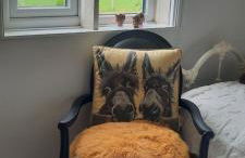 Conkers Cottage - Photo 44