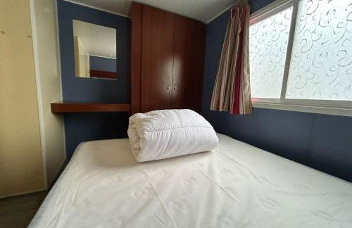 Salamandre - Foto 35