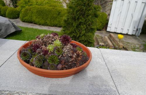 Ferienwohnung im Neubauernweg 3 - Foto 71