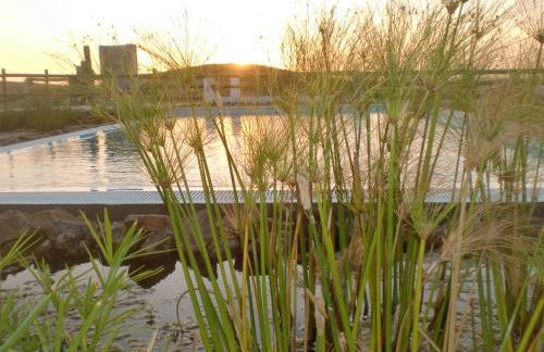 Horta da Quinta - Foto 62