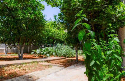 Gaia Residence - Foto 27