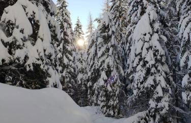 Klaus Prettau - Foto 27