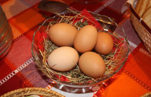 Terra Del Bosco Agriturismo - Foto 30