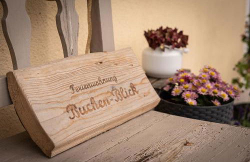 Buchen Blick - Ruhige moderne Ferienwohnung 82qm. - Foto 15