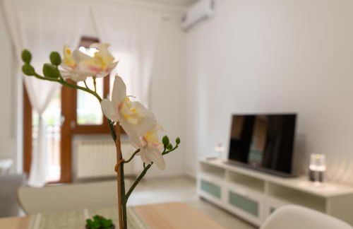 Aeroporto Ciampino - Casa Kennedy - Foto 11