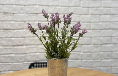 One bed apartment - City Centre - Foto 28