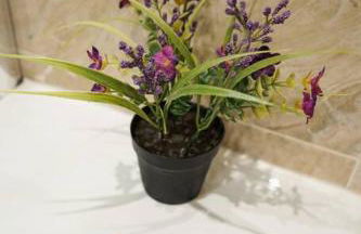 Glasgow - 2 Bedroom Apartment - Foto 21