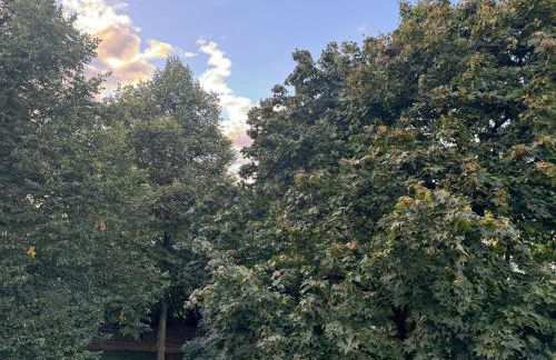 Modern & Zentral in Lev, schnell in Köln DDorf, schnelles WIFI, Netflix - Foto 24