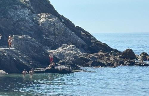Una finestra sul mare 1 - A window on the sea 1 - Nervi - Genoa - Foto 73