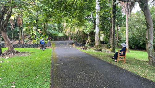 Oceanfront Treehouse at Hakalau with Kitchen - Foto 4